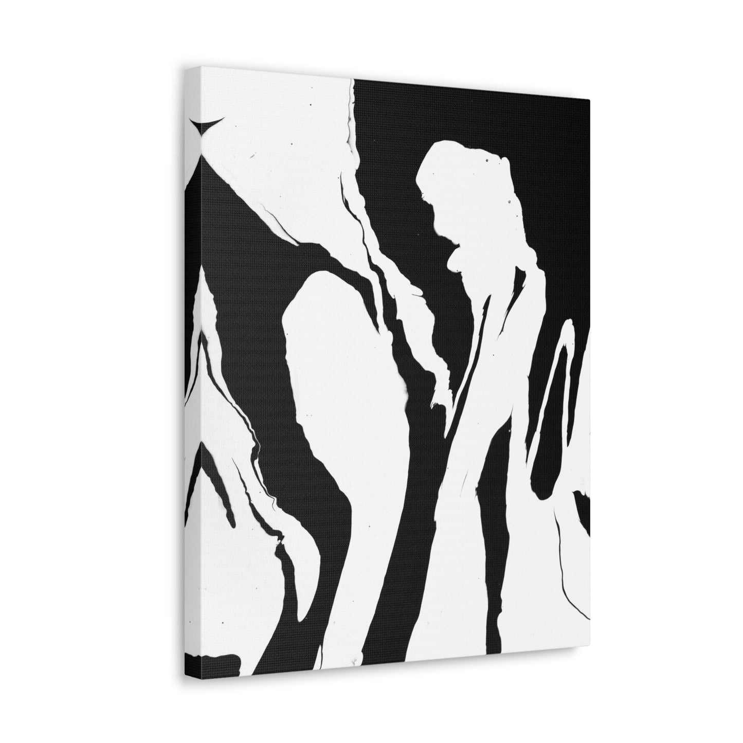 Positive and Negative - Gallery Wrapped Canvas